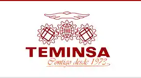 teminsa.com